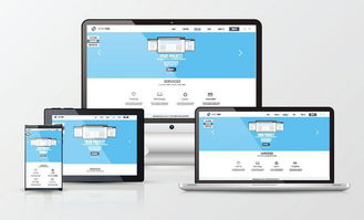 西安網(wǎng)站建設(shè)與手機軟件開發(fā)服務(wù)聯(lián)系方式